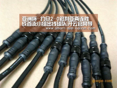 开云体育官网