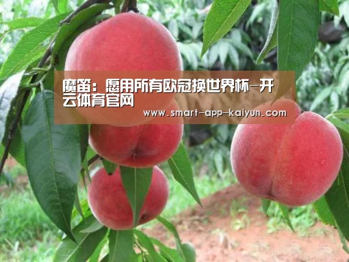 开云体育官网