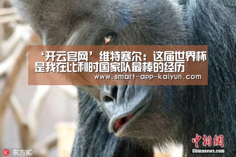 开云体育官网
