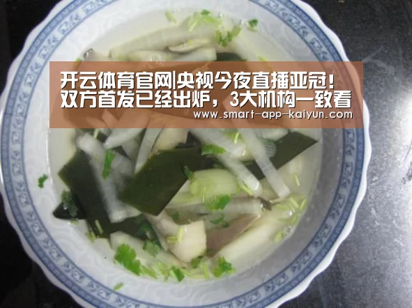 开云体育官网