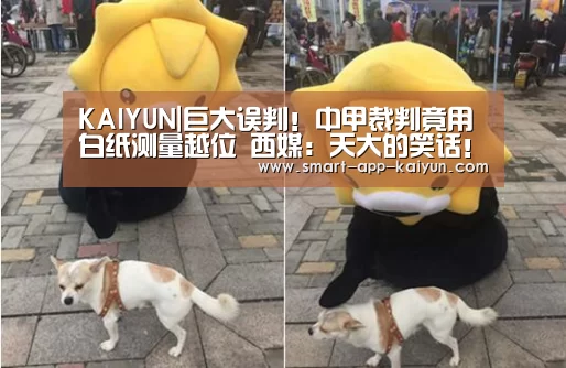 开云体育官网